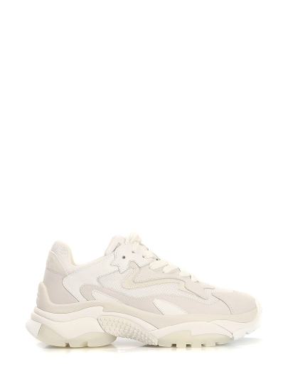 Купить женские белые кроссовки бренд ash addict артикул 8ah.ah124878.t в интернет магазине брендовой обуви JustCouture.ru