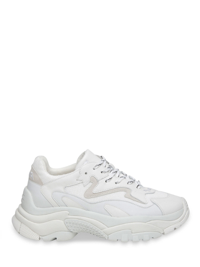 Купить женские белые кроссовки бренд ash addict артикул 6ah.ah116174.t в интернет магазине брендовой обуви JustCouture.ru